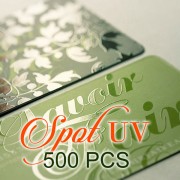 500 PCS Spot UV Business Card